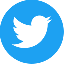 x logo